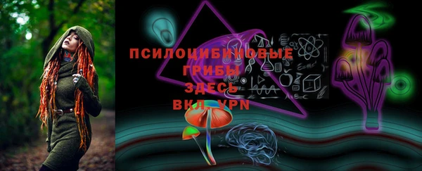 твердый Алексеевка