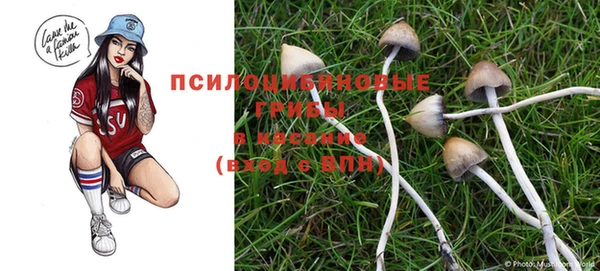 каннабис Алзамай