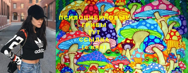 твердый Алексеевка