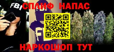 молекула духа Пенза