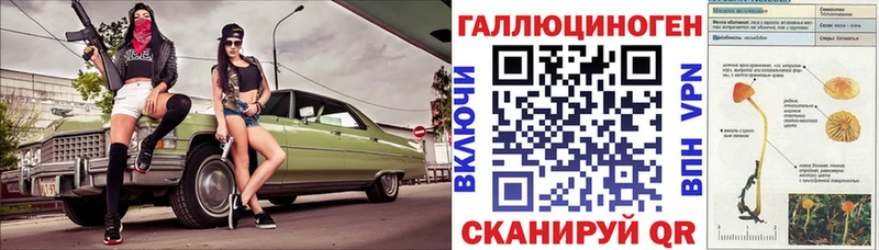 Псилоцибиновые грибы Psilocybe купить наркотик Чайковский