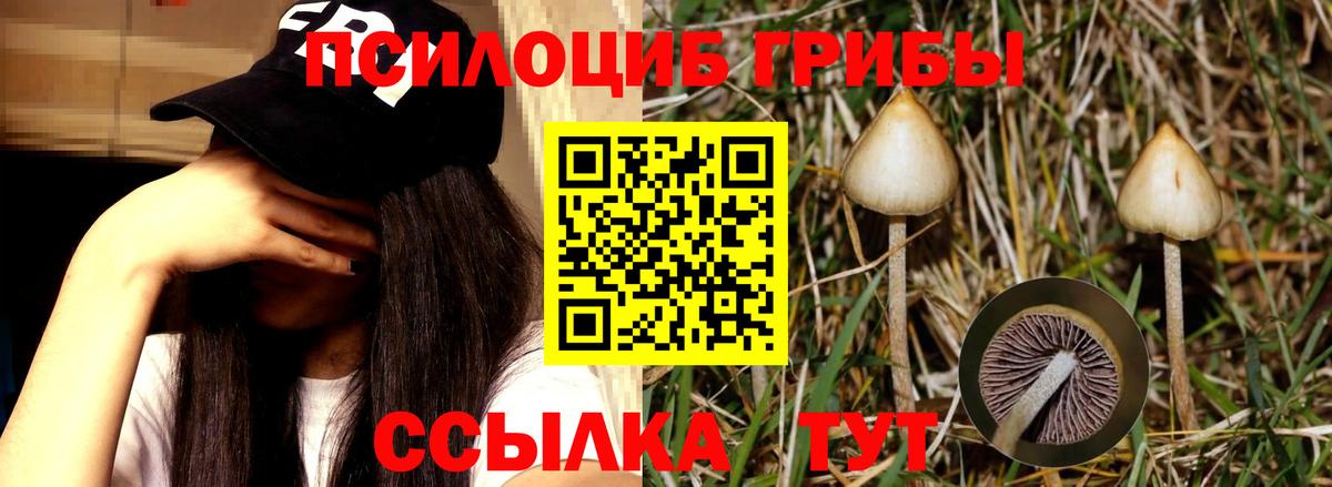Галлюциногенные грибы прущие грибы Чайковский
