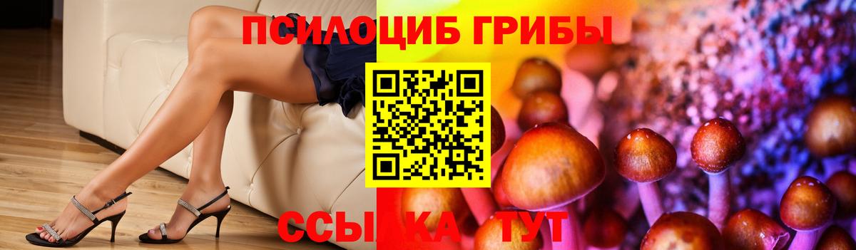 Псилоцибиновые грибы мухоморы  Вход с VPN  Чайковский 